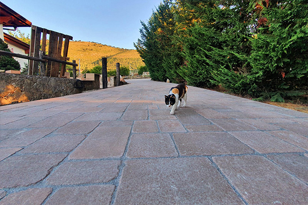 Thorad Sand polymeric sand for external paving